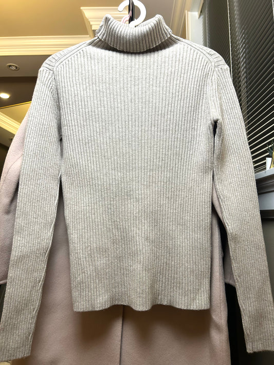 Light Grey Stripe Sweater with Turtleneck